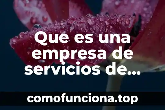 Que es la vision de corto en una empresa 6 Que es una empresa de servicios de financieras