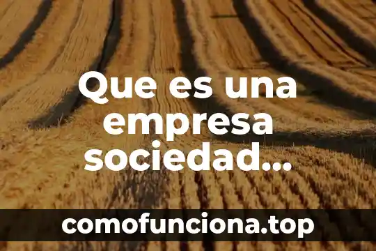 Qué es la escritura constitutiva de una sociedad anónima 7 Que es una empresa sociedad anonima de capital variable