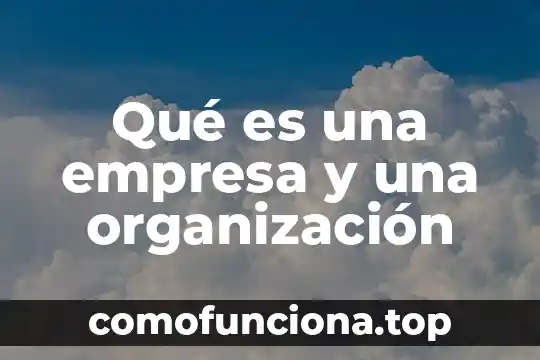 Qué es el nombre fiscal de una empresa 6 Qué es una empresa y una organización
