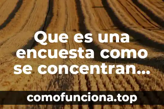 Que es una arquitectura de datos 8 Que es una encuesta como se concentran los datos