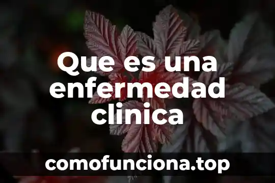 Qué es CC historia clínica veterinaria 7 Que es una enfermedad clinica
