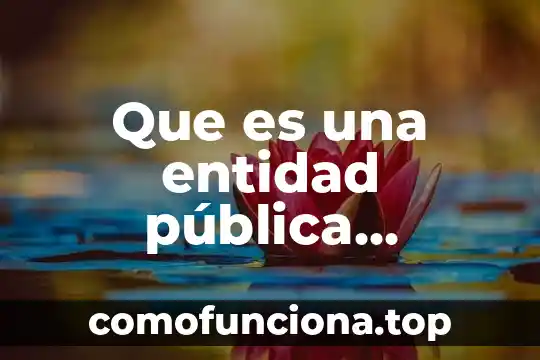 Que es una actuacion publica 3 Que es una entidad pública entidad y dependencia
