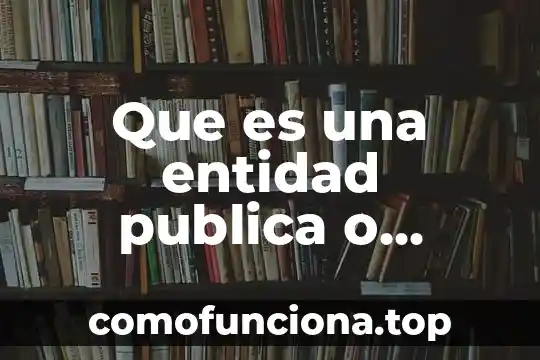 Que es una actuacion publica 5 Que es una entidad publica o privada