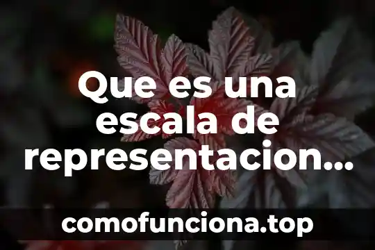 Tecnico que es lenguaje 6 Que es una escala de representacion en dibujo tecnico