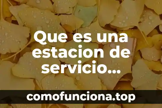 Que es dconducta electrica 3 Que es una estacion de servicio electrica