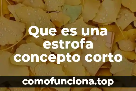 Cómo marcar que es una estrofa en finale 3 Que es una estrofa concepto corto