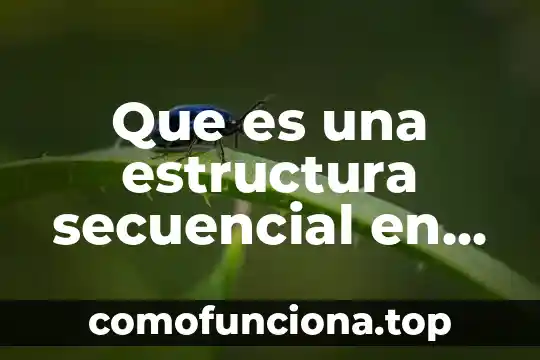 Que es un concepto basico de la programacion 5 Que es una estructura secuencial en programacion