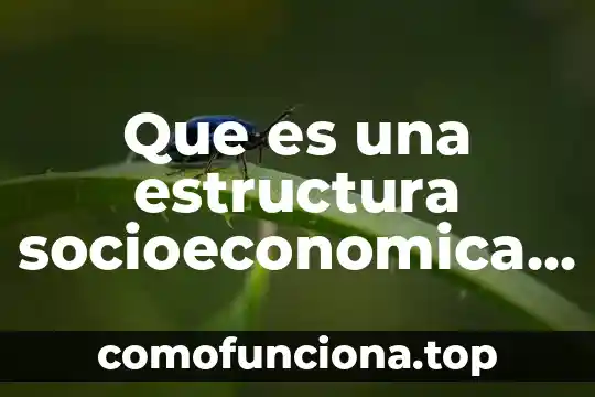 Que es una consideracion en arquitectura 8 Que es una estructura socioeconomica de de mexico