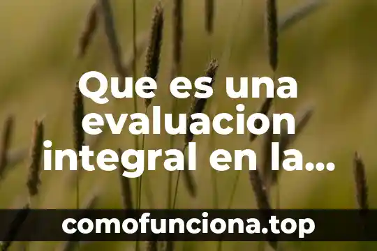 Que es la evaluacion significado 8 Que es una evaluacion integral en la eduacion