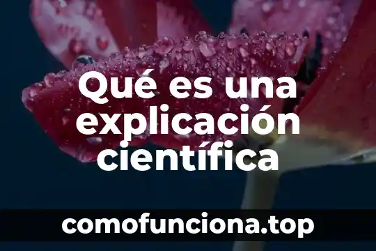 Que es el valor maximo de recuperación 4 Qué es una explicación científica