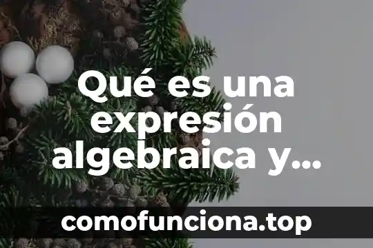 Qué es la lirica y cuáles son su subgéneros 4 Qué es una expresión algebraica y cuáles son sus elementos