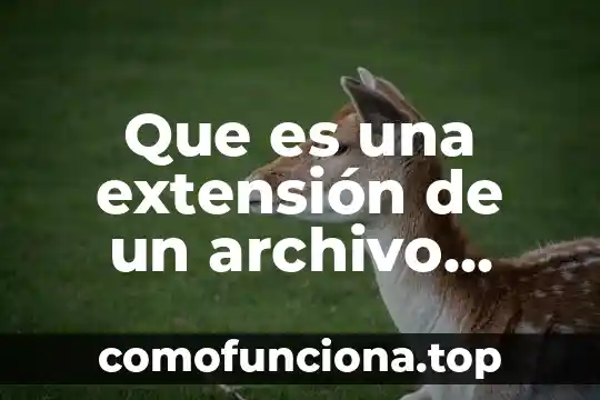Que es el concepto de fisica se llama extension 6 Que es una extensión de un archivo electronico