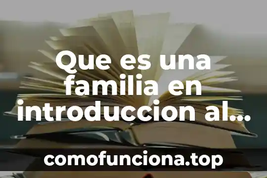 En derecho qué es un principio 8 Que es una familia en introduccion al derecho