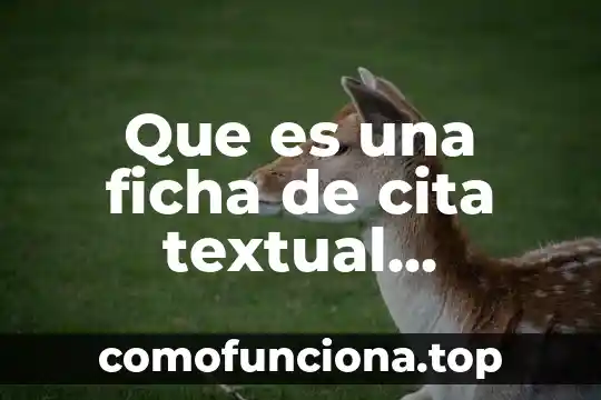 Que es la coherencia textual y su importancia 5 Que es una ficha de cita textual concepto