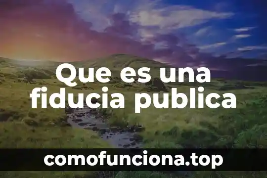 Que es arte y consonante 4 Que es una fiducia publica