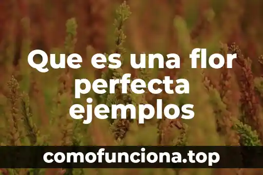 Que es caligrama y ejemplos en forma de una flor 3 Que es una flor perfecta ejemplos