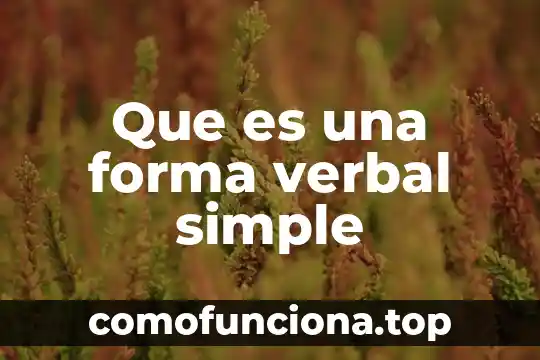 Qué es una señal analógica y su forma de dibujarla 4 Que es una forma verbal simple