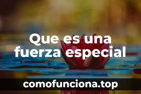 Que es la fuerza gravedad yahoo 4 Que es una fuerza especial