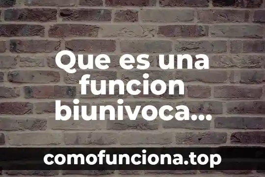 Tipos de carbohidratos función y qué es en producción animal 8 Que es una funcion biunivoca ejemplos