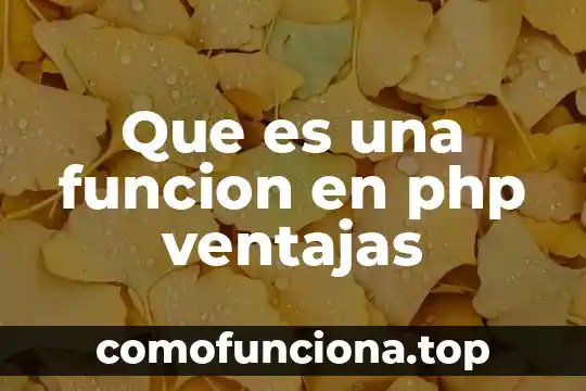 Que es una analisis critico de ventajas y desventajas 5 Que es una funcion en php ventajas