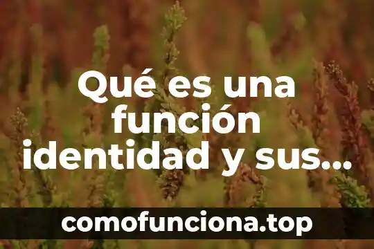 Que es la celula madre y su funcion 7 Qué es una función identidad y sus propiedades