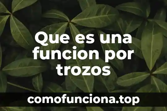 Tipos de carbohidratos función y qué es en producción animal 6 Que es una funcion por trozos