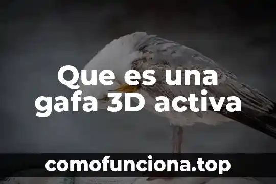 Que es la libertad y que demanda este derecho 3 Que es una gafa 3D activa