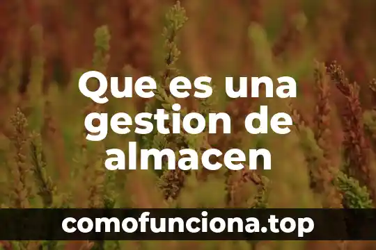 Que es pnce primaria 4 Que es una gestion de almacen
