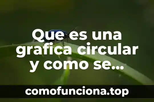 Que es un ensayo y como se elabora derecho 5 Que es una grafica circular y como se elabora