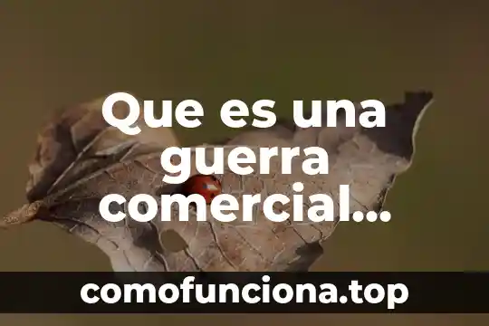 Que es el nombre comercial de gs1 6 Que es una guerra comercial segun autores