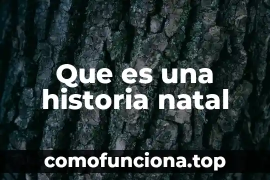 Que es huelga en historia 5 Que es una historia natal
