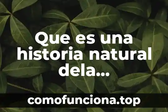 Enfermedad del heno que es 5 Que es una historia natural dela enfermedad