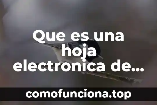 Qué es una urolitiasis y cuantos tipos existen 3 Que es una hoja electronica de calculo y nombres existen