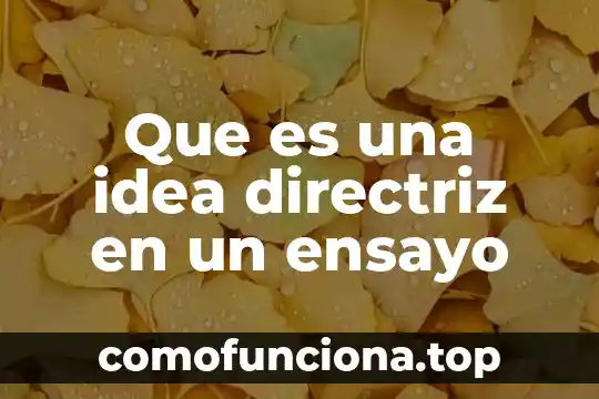 Que es una idea principal en un texto 3 Que es una idea directriz en un ensayo