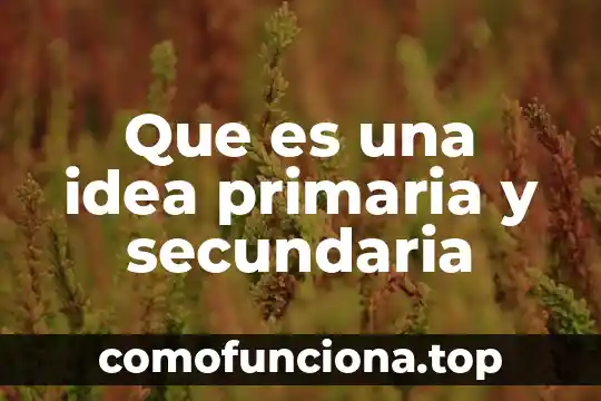 Que es el division y el significado primaria 3 Que es una idea primaria y secundaria