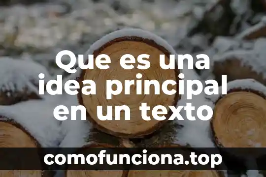 Ordenar un texto partiendo de una idea principal que es 8 Que es una idea principal en un texto