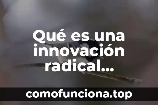 Que es la democracia moderna su significado radical 5 Qué es una innovación radical características