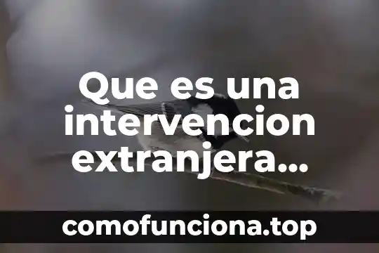 Que es un pie de casa en arquitectura 6 Que es una intervencion extranjera concepto
