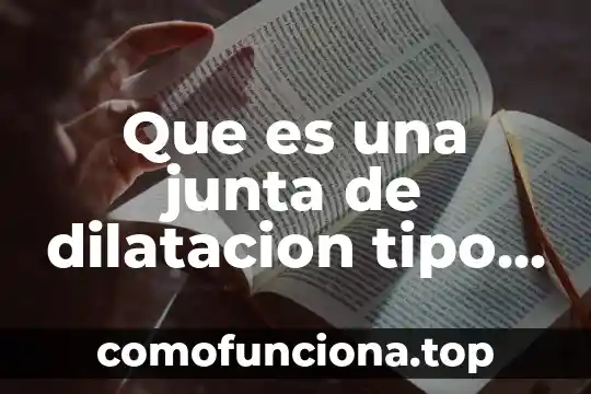 Que es un argumento y para quenos sirve 8 Que es una junta de dilatacion tipo n-65