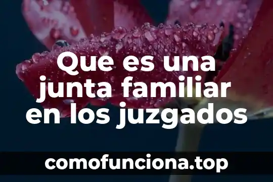 Que es la sinamica familiar 6 Que es una junta familiar en los juzgados