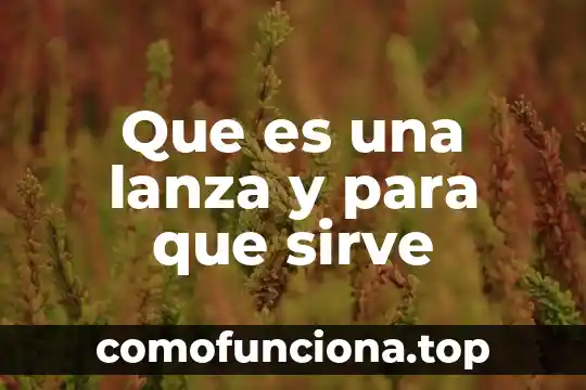 Que es exorto en derecho 4 Que es una lanza y para que sirve