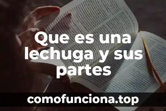 Que es el dinamometro y sus partes 5 Que es una lechuga y sus partes