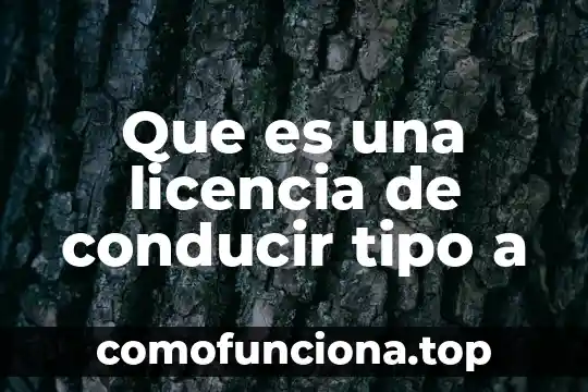 Que es el na2s tipo de compuesto 8 Que es una licencia de conducir tipo a