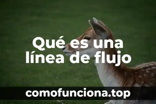 Que es estado de cultura 7 Qué es una línea de flujo