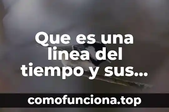 Que es una estrategia y linea de accion 7 Que es una linea del tiempo y sus caracteristicas
