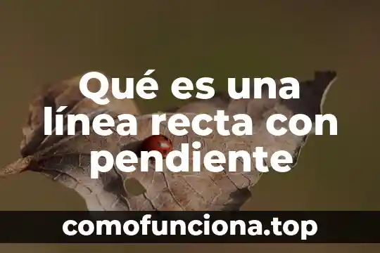 Que es el punto medio de un segmento de recta 6 Qué es una línea recta con pendiente