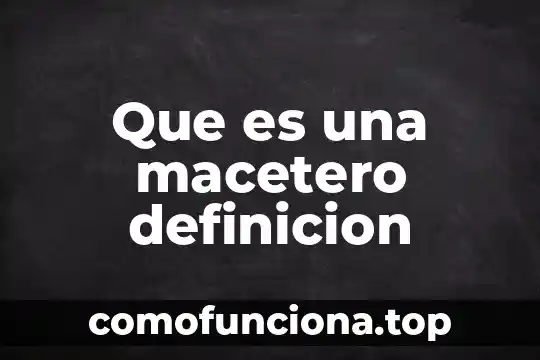 Qué es una política de estado definición 4 Que es una macetero definicion