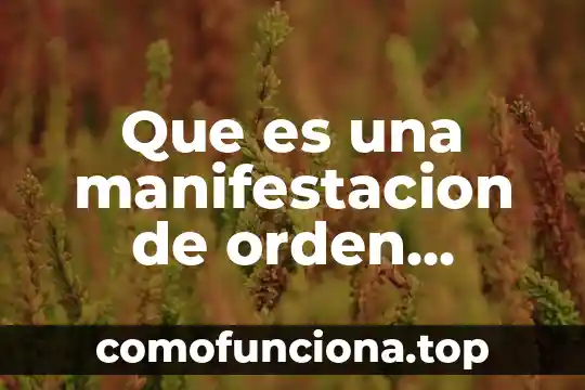 Que es una cultura de orden y sensibilidad 8 Que es una manifestacion de orden natural o espiritual
