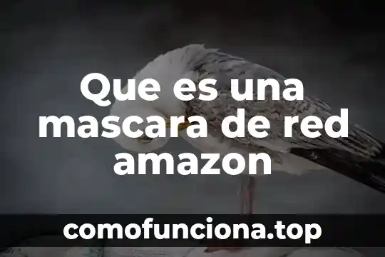 Amazon fire tv stick que es 7 Que es una mascara de red amazon