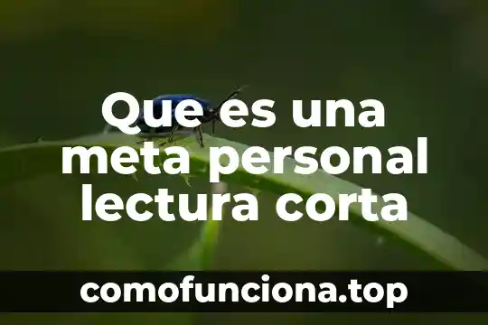 Qué es región definición corta 4 Que es una meta personal lectura corta